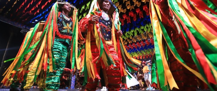 Boi de Maracanã no Arraial do IPEM