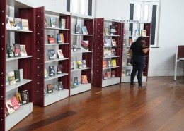 Acervo Biblioteca Pública Benedito Leite